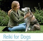 Reiki for Dogs front